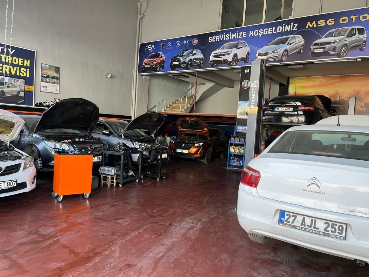Periyodik Bakım — PSA MSG Auto