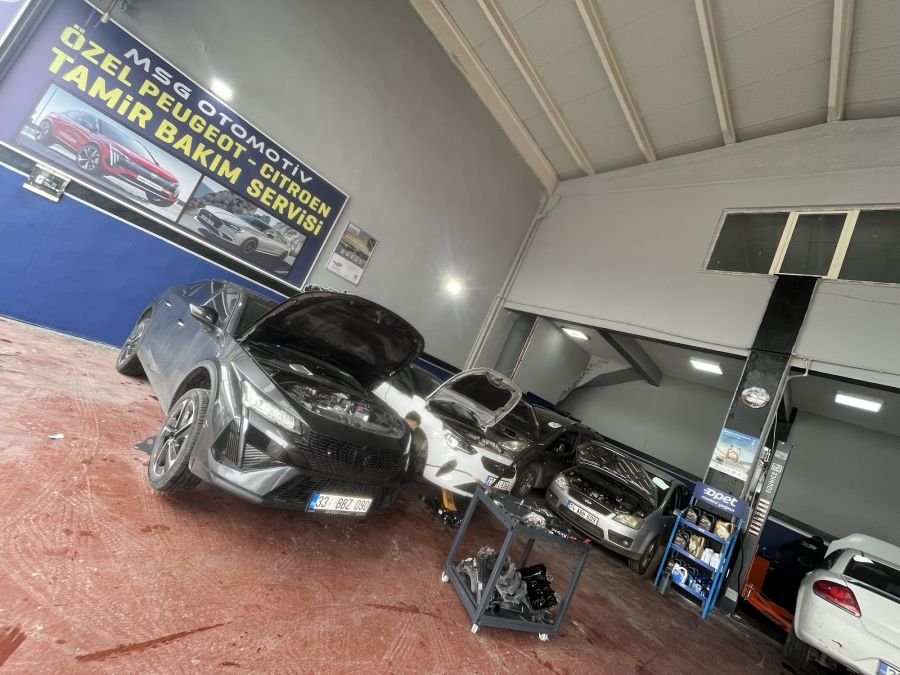 Peugeot Servisi — PSA MSG Auto servisi