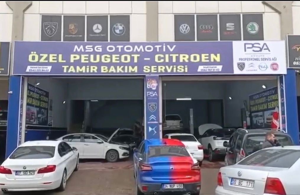 Debriyaj / Şanzıman — PSA MSG Auto